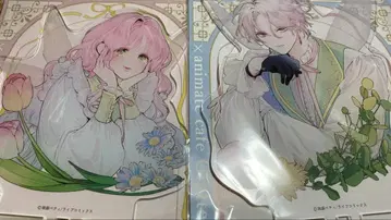 꽃으로 감춘 너의 메테올 아크릴 스탠드 라비 스텔라 그라테 미개봉 새상품