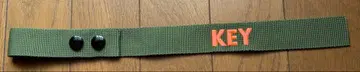 미사용 SHINee 키 스트랩