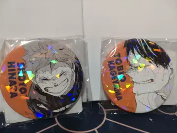 하이큐!! 올스타 캔뱃지 히나타 카게야마