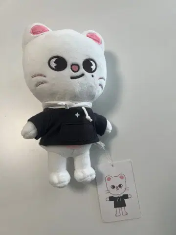 straykids 스키즈 SKZOO Jiniret