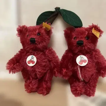 슈타이프 베어 체리