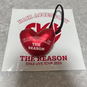 호리 나츠키 머리끈 EXILE THE REASON
