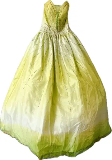 [ 연주회 브라이덜 ] 라임 그린 롱 드레스