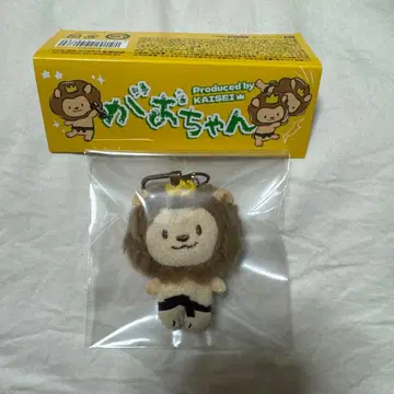 가오짱 타케치 카이세이 멘프로