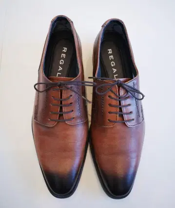 리걸 고어텍스 플레인토 REGAL GORE-TEX 34HR