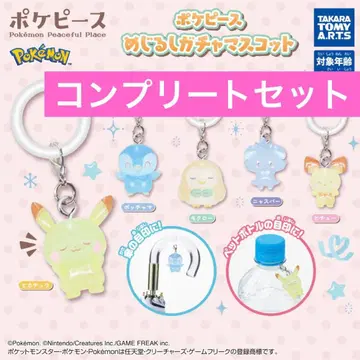 포켓몬 포켓피스 메지루시 액세서리 컴플리트 세트