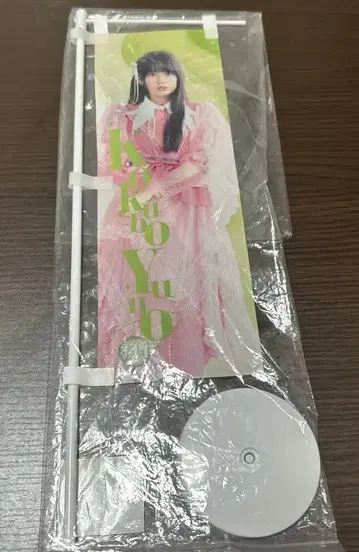 사립 에비스 중학 코쿠보 유노 복권 대학 예능회 3등상 노보리 SSA