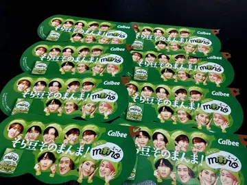 SnowMan 미노 플라이어 8장 세트