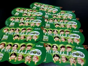 SnowMan 미노 플라이어 9장 세트