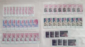 스토푸리 사토미 벌스데이 폴라로이드