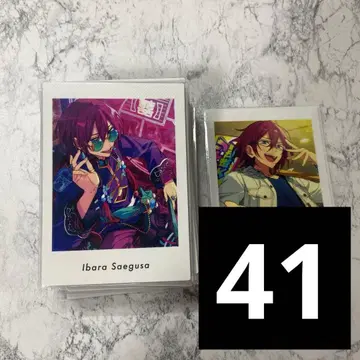 앙스타 파샤츠 vol.5 사에구사 이바라