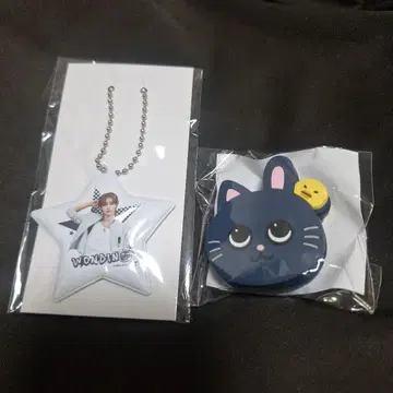 RIZZE 랜덤 토이 부채 액세서리 PVC 참 원빈