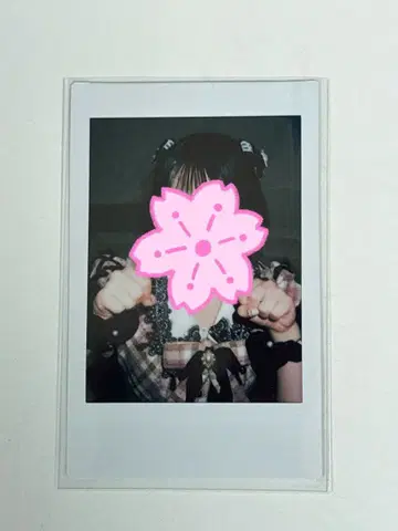 사쿠라바 하루카 체크 의상 리리이베 폴라로이드 특전회 큐스토 파루탄