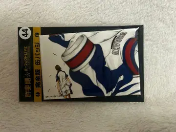 테니스의 왕자님 오테페스 캔뱃지 후지 슈스케