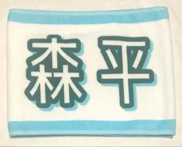 노기자카46 타월 모리히라 레이신 한여름 전국 투어 2025