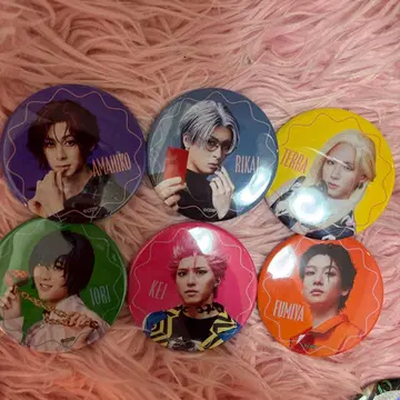 카리스마de스테이지 캔뱃지 6점 캐릭터 픽 (카리스테)