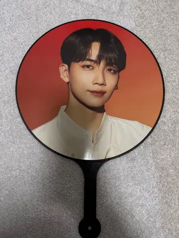 SEVENTEEN 정한 부채