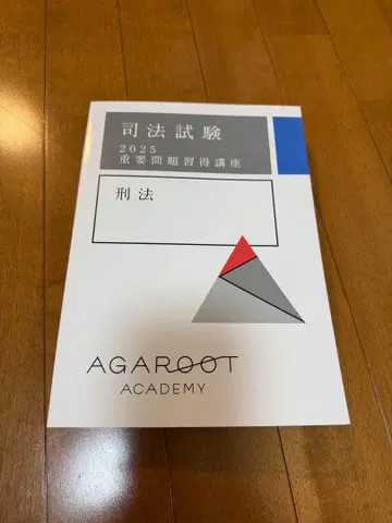 사법시험 2025 형법 중요 문제집