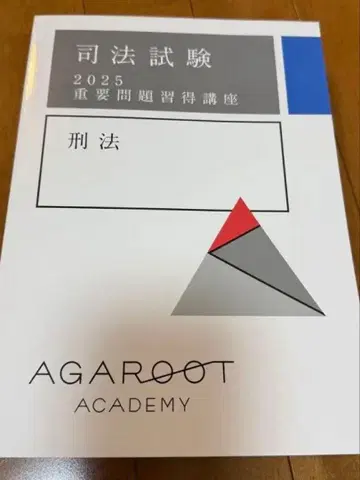 사법시험 2025 형법 중요 문제집