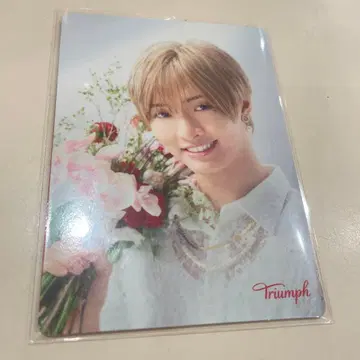 트림프 사토 신