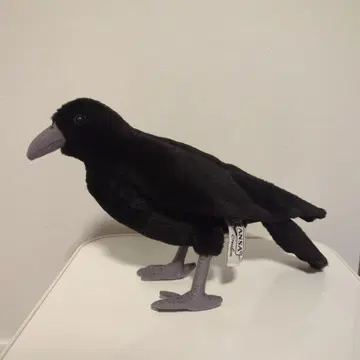 한사 까마귀 봉제 인형 동물 새 까마귀