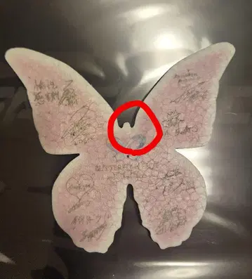 FANTASTICS 라이브 낙하물