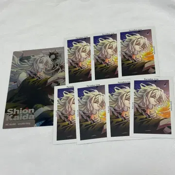 파라라이 6주년 G프리 메탈릭 카드 카이다 시온