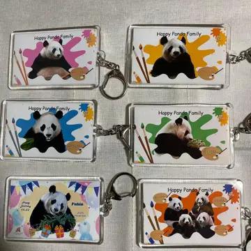 어드벤처 월드 팬더 한정판 키링 컴프 후우힌 벌스데이