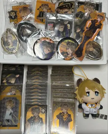 트위스테 라기 부치 묶음 판매