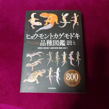 레오파드 게코 품종 도감