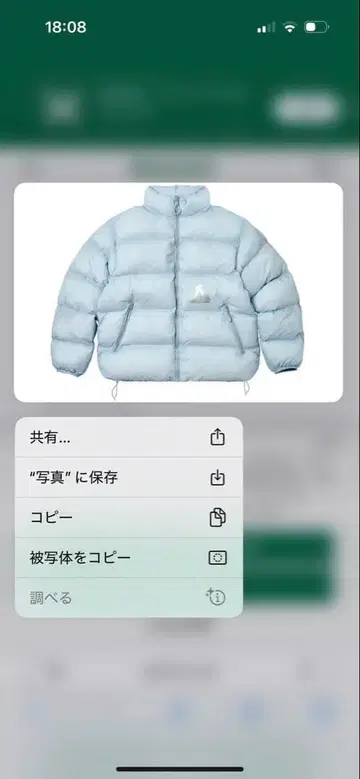 Palace Ripstop Puffa 재킷