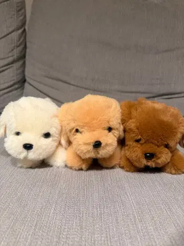 [ 3마리 세트 ] 골든 리트리버 단풍이 아이 강아지 봉제 인형