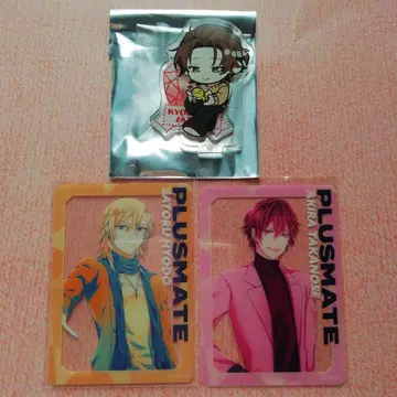 플러스메이트 PLUSMATE 클리어 카드 아크릴 스탠드 3세트