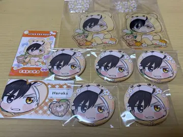 WINDBREAKER 파보테리아 사쿠라 하루카