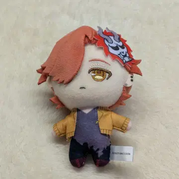 crazy raccoon 아리사카 봉제 인형
