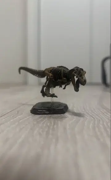 티라노사우루스 골격 모형 약 10cm