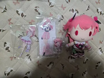 모모이 아이리 세트