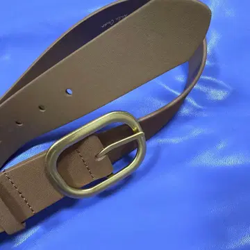 브라운 벨트 골드 버클