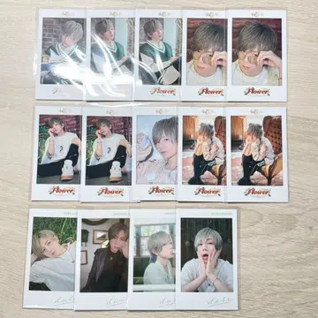 [ 우라타누키 ] 폴라로이드 묶음 판매