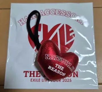 호리 나츠키 하트 머리끈 EXILE THE REASON