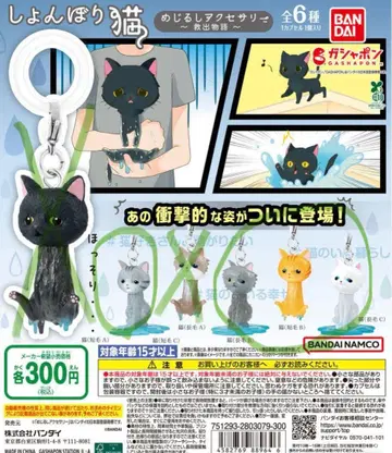 시무룩 고양이 마커 액세서리 4종 세트