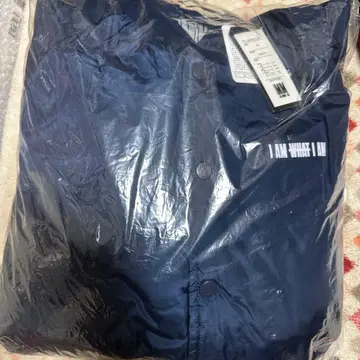 아타에 신지로 I AM WHAT I AM