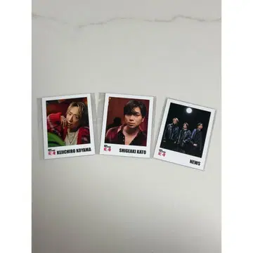 NEWS 변신 폴라로이드풍 카드 세트