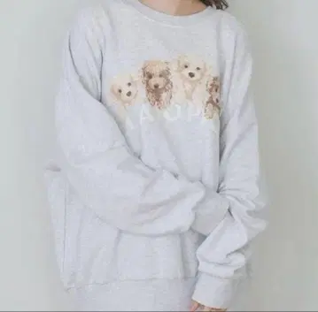 젤라또피케 토이 푸들 쭈리 풀오버 룸웨어 파자마