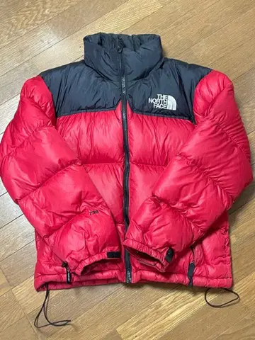 THE NORTH FACE 눕시 다운 자켓