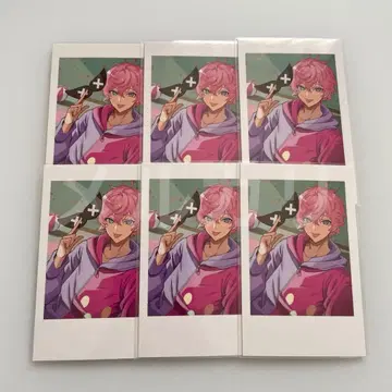 CrazyRaccoon CR 셀카 셀피 카드 프란시스코 시스코