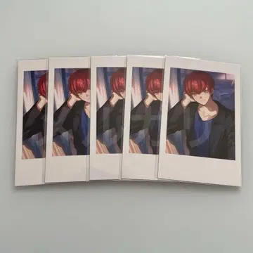 CrazyRaccoon CR 셀카 셀피 카드 cpt