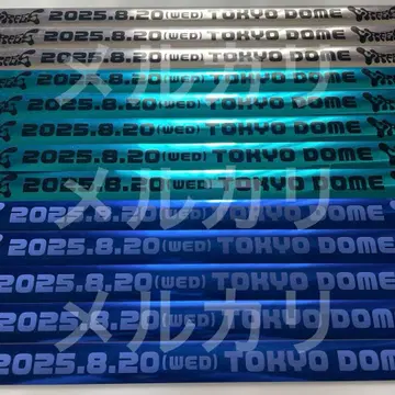 CrazyRaccoon CR 페스티벌 2025 은색 테이프 은테