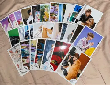 나니와단시 타카하시 쿄헤이 공식 사진 29장 세트