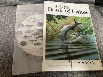 [ 어도감 ] 사카낙션 2CD 기간 한정 생산반